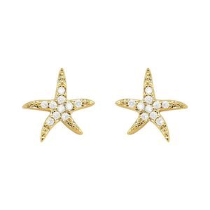 Brinco Estrela do Mar Cravejada